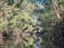 Danube Delta View