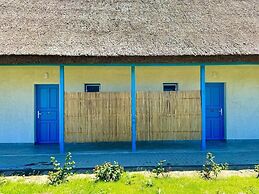 Danube Delta View