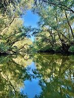 Danube Delta View