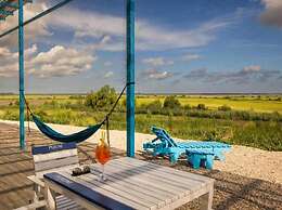 Danube Delta View