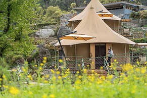 Saraaya Glamps, Dharamshala