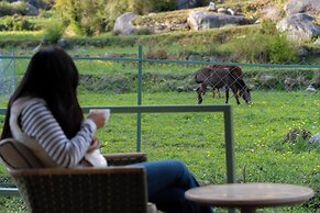Saraaya Glamps, Dharamshala