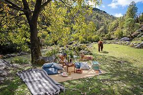 Saraaya Glamps, Dharamshala