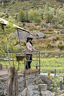 Saraaya Glamps, Dharamshala