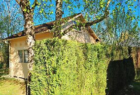 Parc - Camping de Coullons