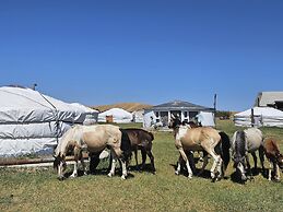 Mongol Altai Tour Camp