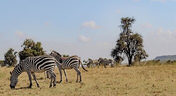 Ndoto House Maanzoni Conservancy