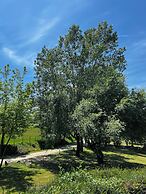 Tenuta Valdea