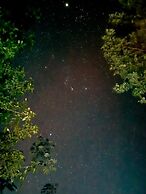 Cenote Escondido - Cabañas y Camping