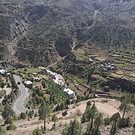 Eden Garden