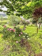 Borgo San Jacopo - Il Cipressino