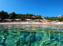 Nefeli Sea View Stay - Mastiha Grove Suite Chios