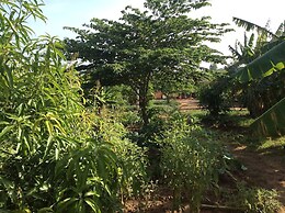 Saadani Pangani Campa && Tours