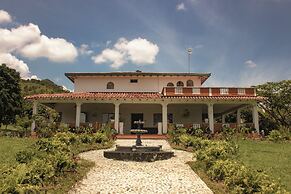Alma Terra Campestre