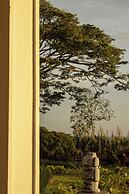 Alma Terra Campestre