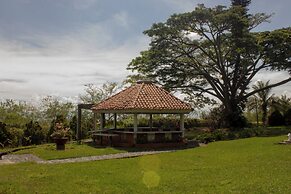 Alma Terra Campestre