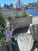 Gamlekaien