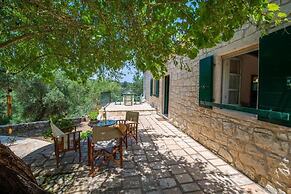 The Old One by All About Paxos