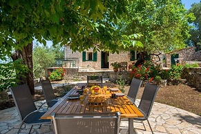 The Old One by All About Paxos