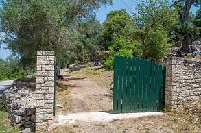 The Old One by All About Paxos