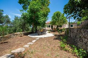 The Old One by All About Paxos