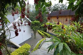 RAIN FOREST Munnar Resort