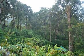 RAIN FOREST Munnar Resort