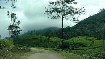RAIN FOREST Munnar Resort