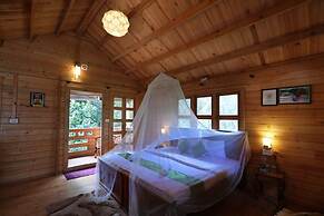 RAIN FOREST Munnar Resort