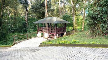 RAIN FOREST Munnar Resort