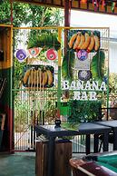 Banana Bar