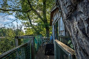 Camping Alsace Les Castors