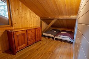 Camping Alsace Les Castors