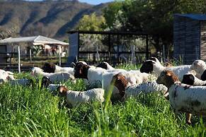 Tranquil Karoo Retreat