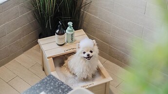 Chuncheon Rehouse