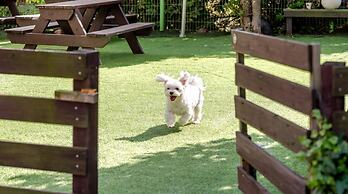 Geoje Erion Pet-friendly Pension