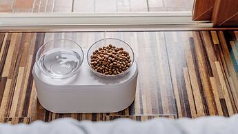 Geoje Pings Pet-friendly Pension