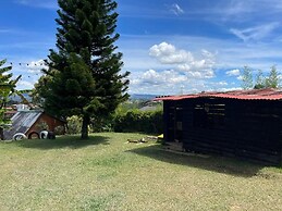 Encanto Verde