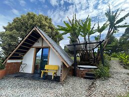 Encanto Verde
