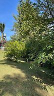 Encanto Verde