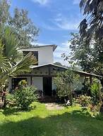 Encanto Verde