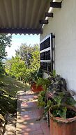Encanto Verde