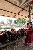 Alaya Stays Krishna Serenity Suite