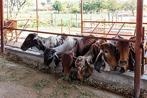 Alaya Stays Krishna Serenity Suite