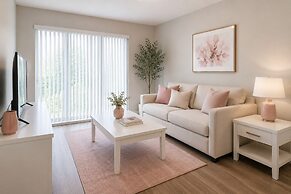 The Solmira Collection