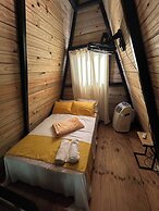 Alpine Cabin PR 2026