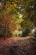 Castanea