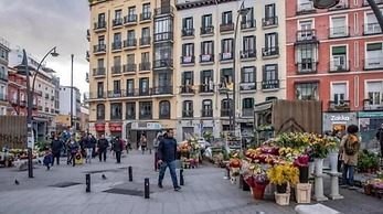 Hostal Andrea Sol