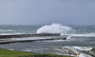 Creevy Cove