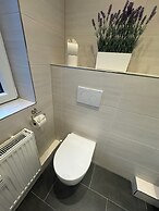 Suite-Pauli
